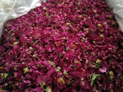 玫瑰花